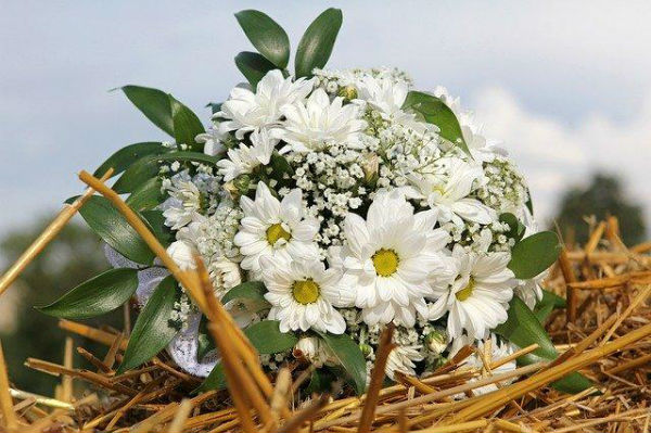 秋の結婚式のブーケにおすすめ 花 植物5選 家族挙式のウエディング知恵袋