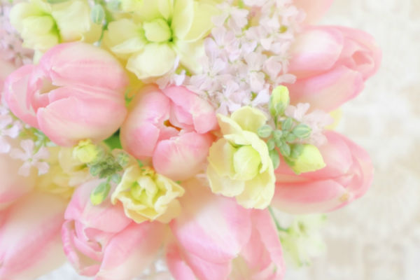 春の結婚式のブーケにおすすめ 花 植物5選 家族挙式のウエディング知恵袋