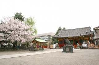 浅草神社ギャラリー