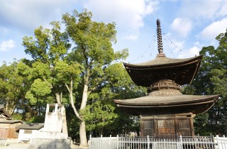 知立神社ギャラリー
