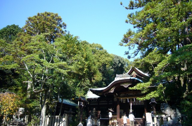 岡崎神社ギャラリー