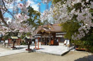 阿部野神社ギャラリー