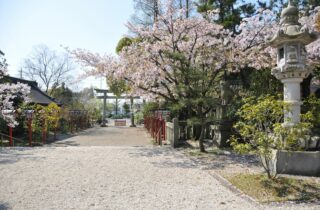市原稲荷神社ギャラリー