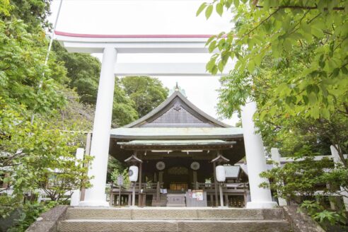 家族挙式 鎌倉宮 神奈川 鎌倉