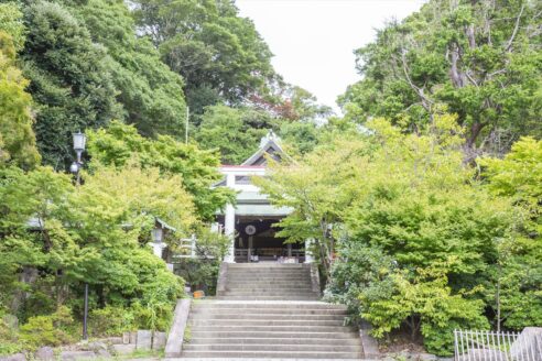 家族挙式 鎌倉宮 神奈川 鎌倉